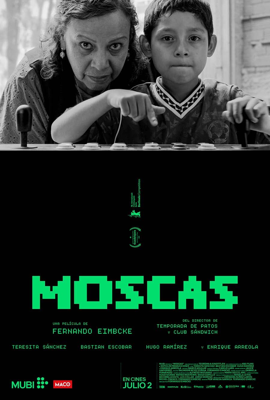 Póster de Moscas