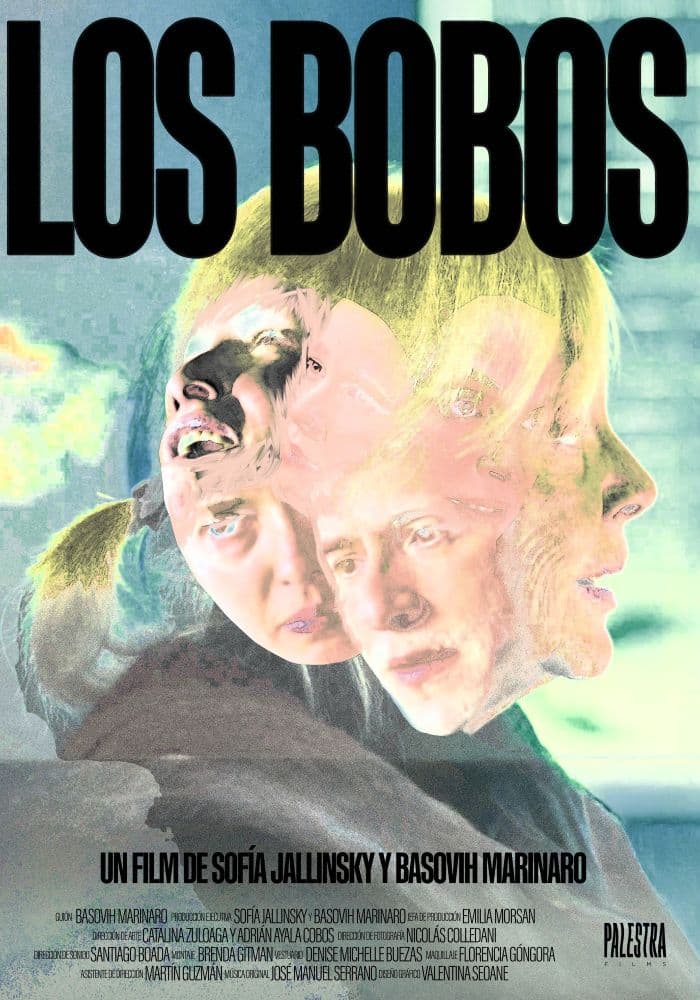 Póster de Los bobos