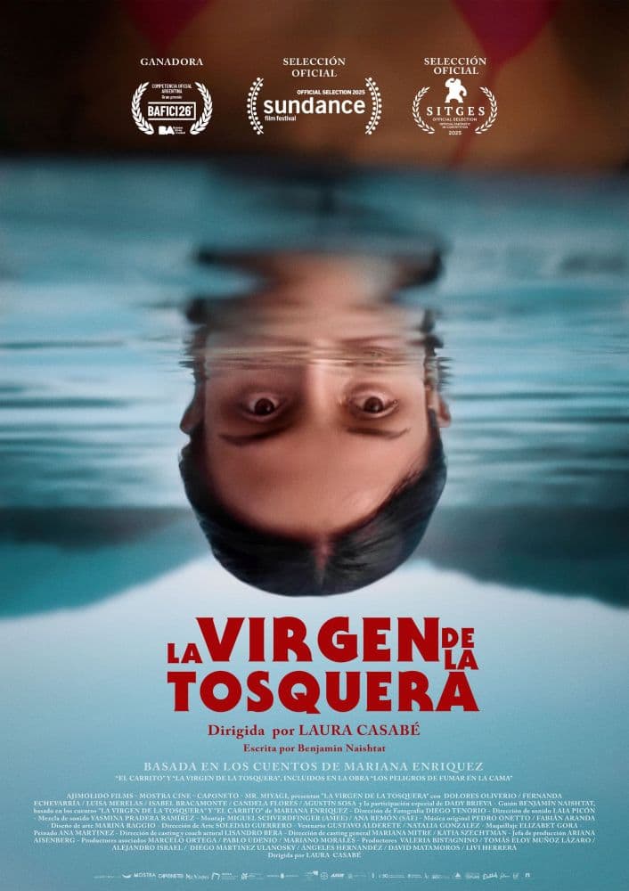 Póster de La virgen de la tosquera